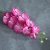 9heads long fuchsia