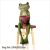 Happy frog C