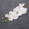 New Butterfly Home Decoration Bouquet