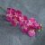 9heads short fuchsia
