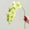 New Butterfly Home Decoration Bouquet