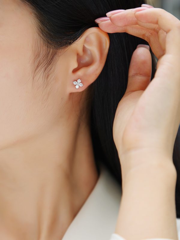 aecf077f-9ebb-4c0c-8628-e1d8eea2c3ac.jpg Sweetheart French - Earrings Set With Top-quality Moissanite S925, Silver And Platinum-plated Stud Earrings, A Fashionable And Trendy Accessory That Can Be Tested With A Diamond Pen